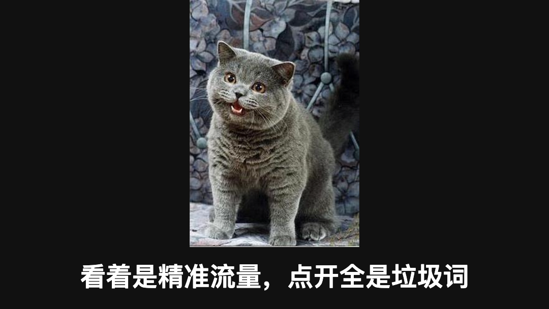 谷歌广告避坑指南